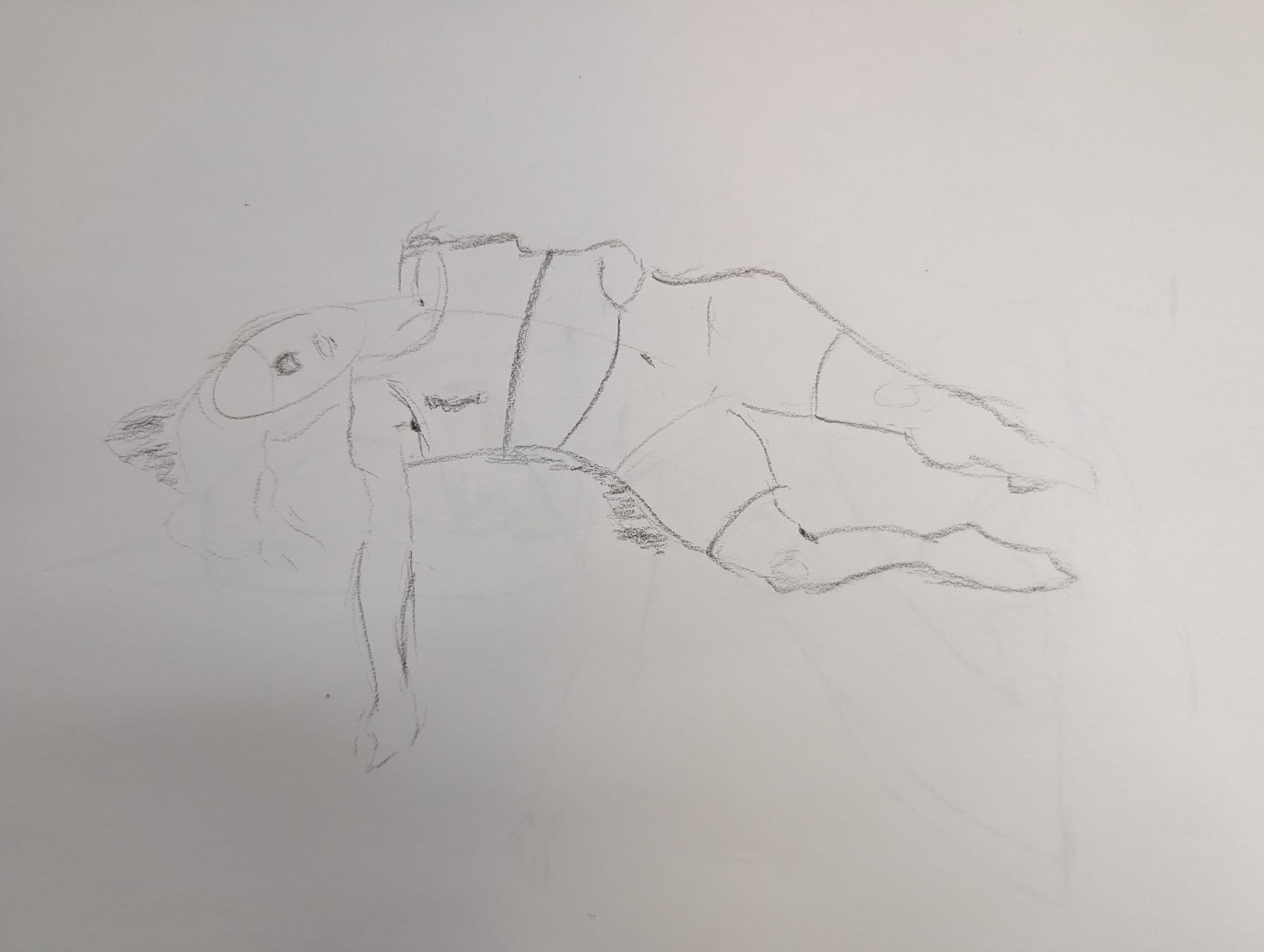 sketch of a woman lying down